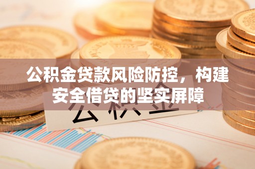 大悟公积金贷款风险防控，构建安全借贷的坚实屏障