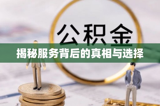 大悟揭秘服务背后的真相与选择