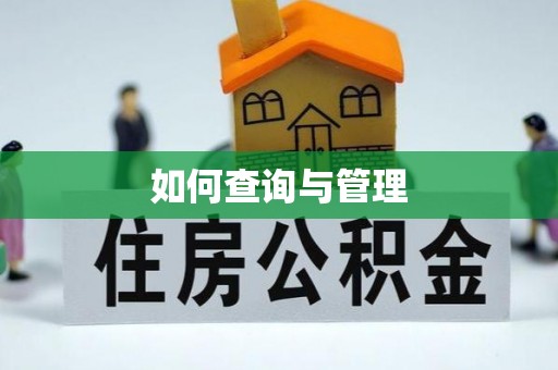 大悟如何查询与管理