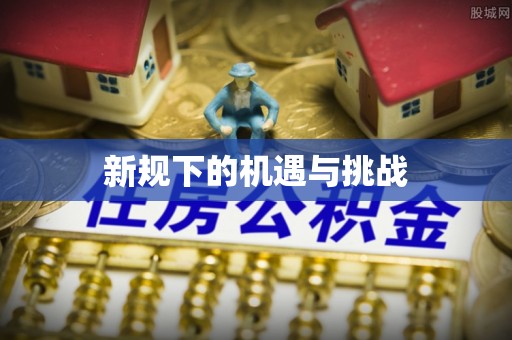 大悟新规下的机遇与挑战