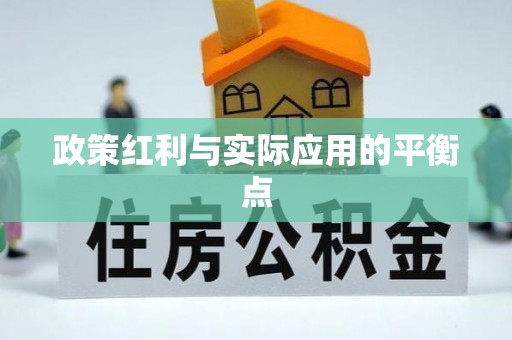 大悟政策红利与实际应用的平衡点