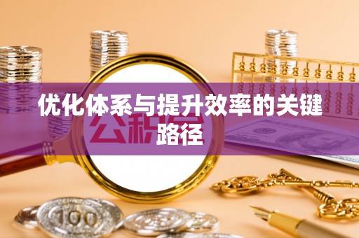 大悟优化体系与提升效率的关键路径