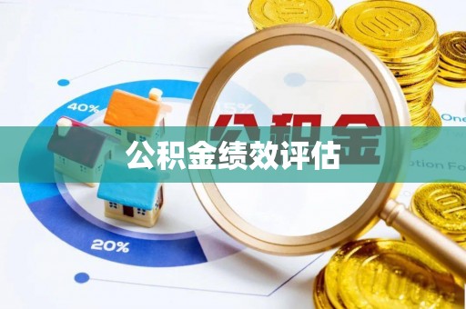 大悟公积金绩效评估