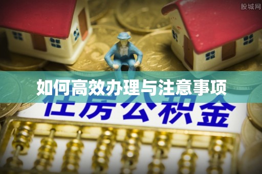 大悟如何高效办理与注意事项