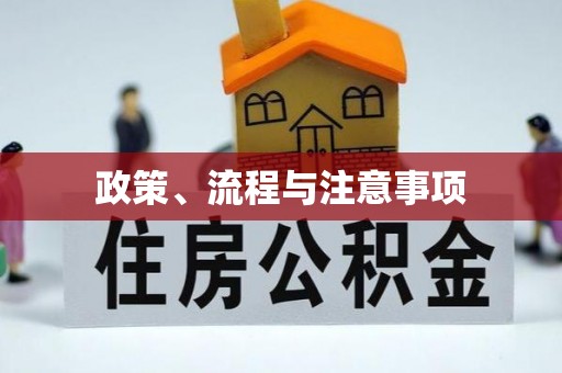 大悟政策、流程与注意事项
