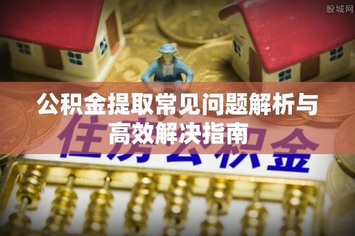 大悟公积金提取常见问题解析与高效解决指南