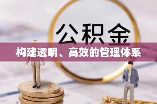 大悟构建透明、高效的管理体系