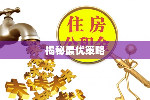 大悟揭秘最优策略