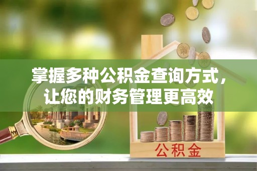 大悟掌握多种公积金查询方式，让您的财务管理更高效
