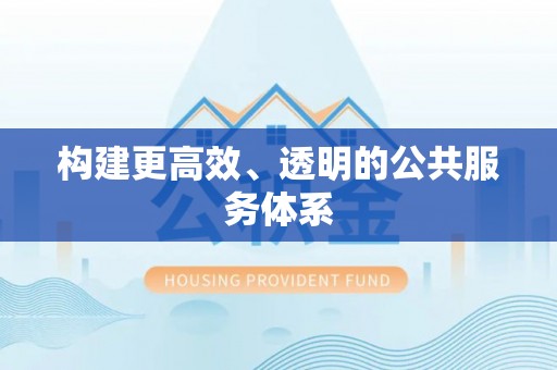 大悟构建更高效、透明的公共服务体系