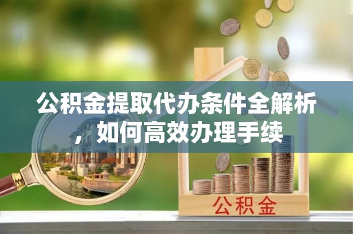 大悟公积金提取代办条件全解析，如何高效办理手续