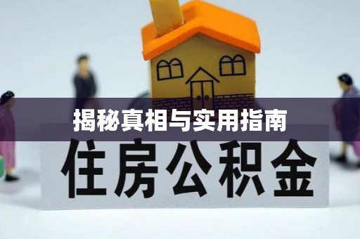 大悟揭秘真相与实用指南