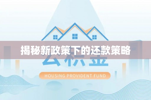 大悟揭秘新政策下的还款策略