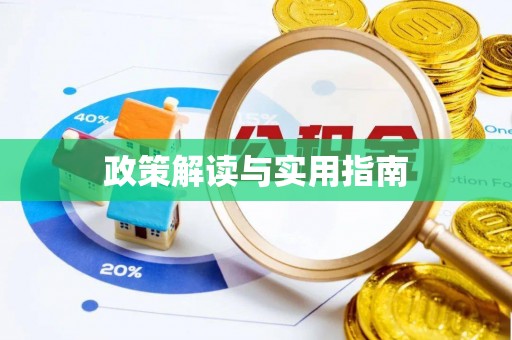 大悟政策解读与实用指南