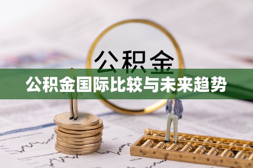 大悟公积金国际比较与未来趋势