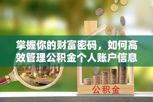 大悟掌握你的财富密码，如何高效管理公积金个人账户信息