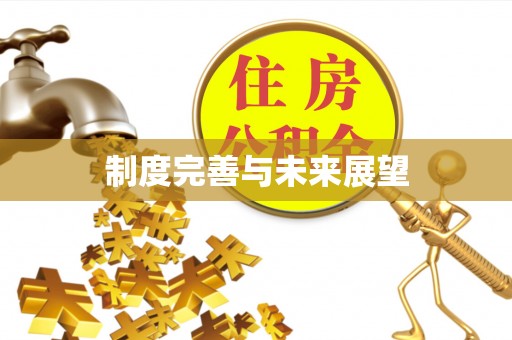 大悟制度完善与未来展望