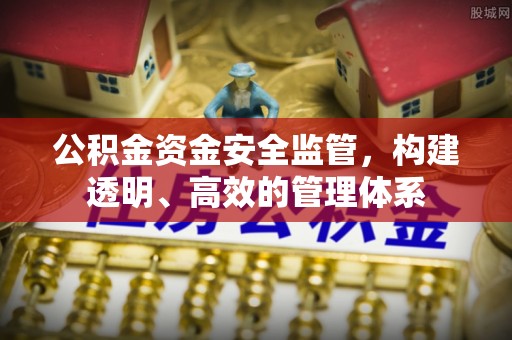 大悟公积金资金安全监管，构建透明、高效的管理体系