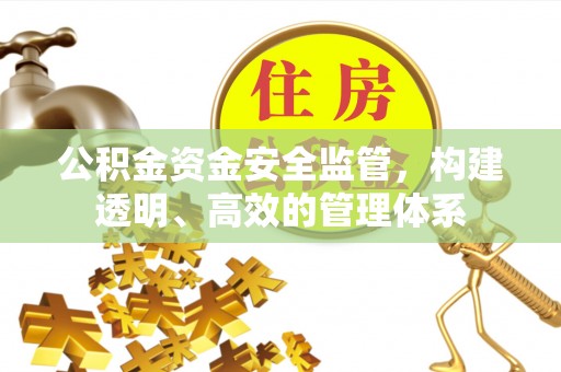 大悟公积金资金安全监管，构建透明、高效的管理体系