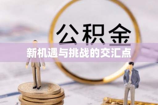 大悟新机遇与挑战的交汇点