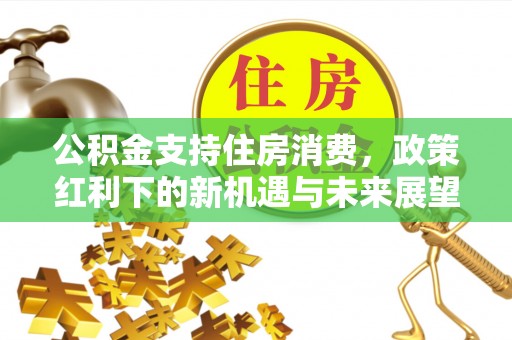 大悟公积金支持住房消费，政策红利下的新机遇与未来展望