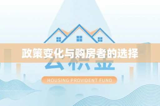 大悟政策变化与购房者的选择
