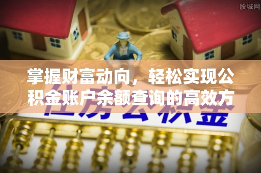 大悟掌握财富动向，轻松实现公积金账户余额查询的高效方式