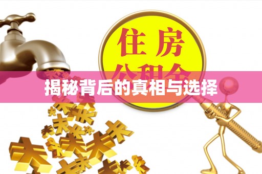大悟揭秘背后的真相与选择