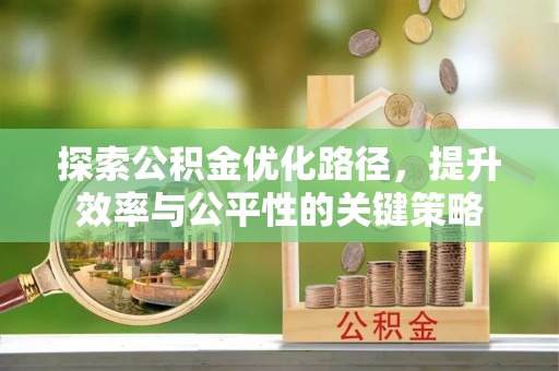 大悟探索公积金优化路径，提升效率与公平性的关键策略