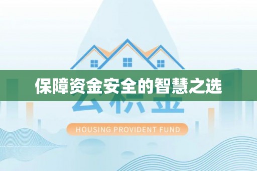 大悟保障资金安全的智慧之选