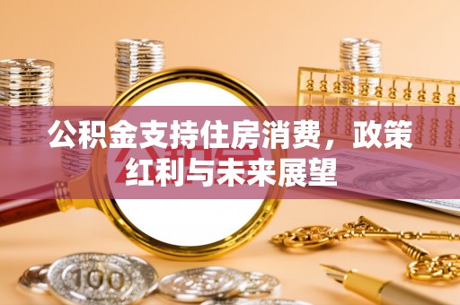 大悟公积金支持住房消费，政策红利与未来展望
