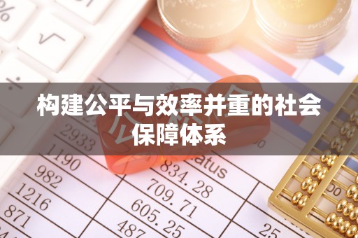 大悟构建公平与效率并重的社会保障体系
