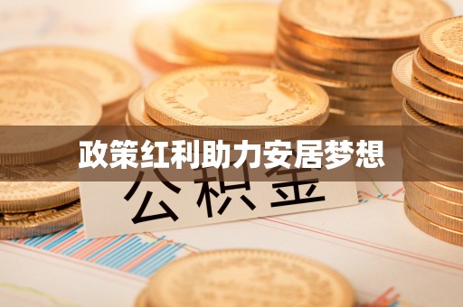 大悟政策红利助力安居梦想