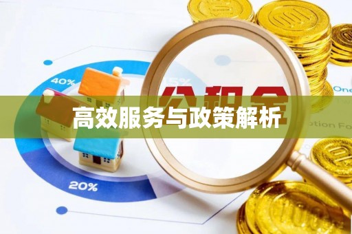 大悟高效服务与政策解析