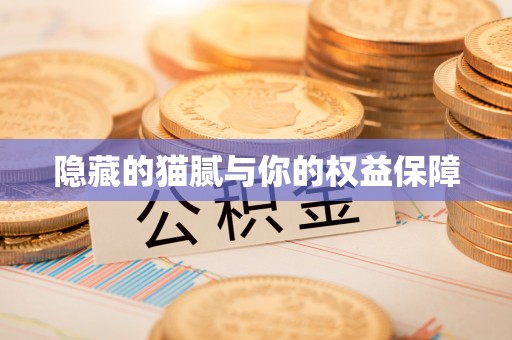大悟隐藏的猫腻与你的权益保障