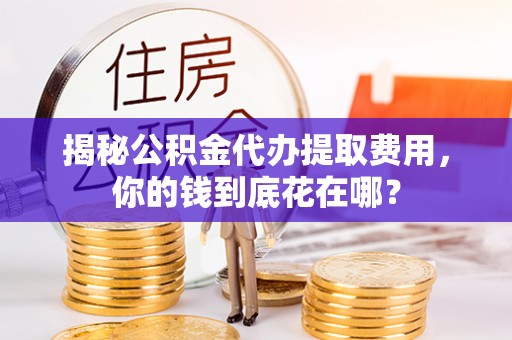 大悟揭秘公积金代办提取费用，你的钱到底花在哪？