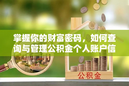 大悟掌握你的财富密码，如何查询与管理公积金个人账户信息
