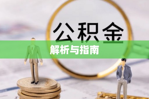 大悟解析与指南