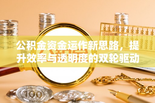 大悟公积金资金运作新思路，提升效率与透明度的双轮驱动