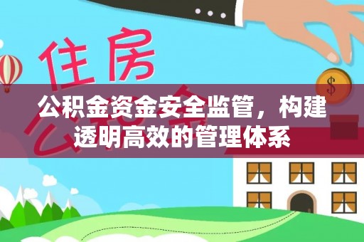 大悟公积金资金安全监管，构建透明高效的管理体系
