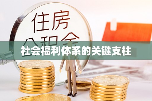 大悟社会福利体系的关键支柱