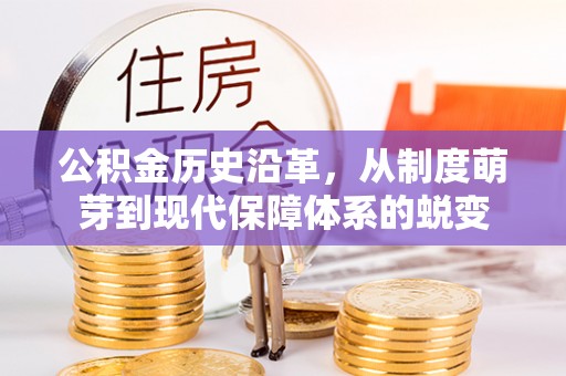 大悟公积金历史沿革，从制度萌芽到现代保障体系的蜕变