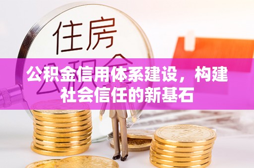 大悟公积金信用体系建设，构建社会信任的新基石