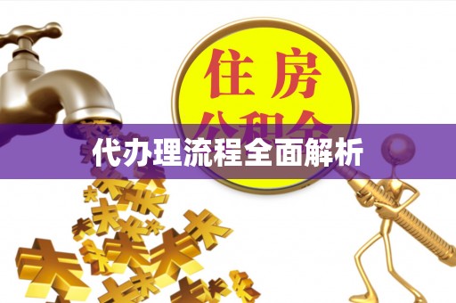 大悟代办理流程全面解析