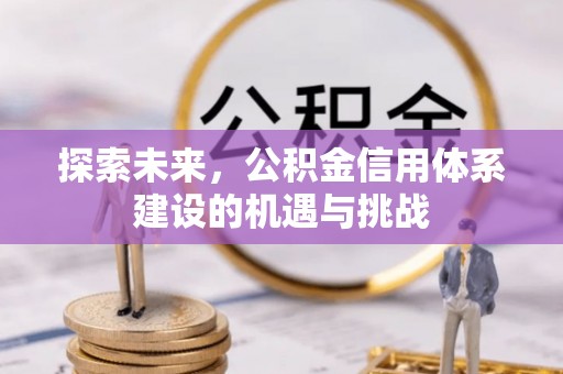 大悟探索未来，公积金信用体系建设的机遇与挑战
