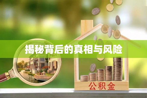 大悟揭秘背后的真相与风险
