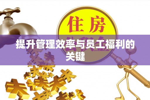 大悟提升管理效率与员工福利的关键