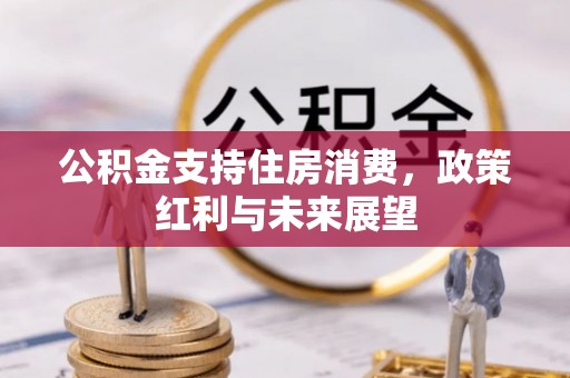 大悟公积金支持住房消费，政策红利与未来展望