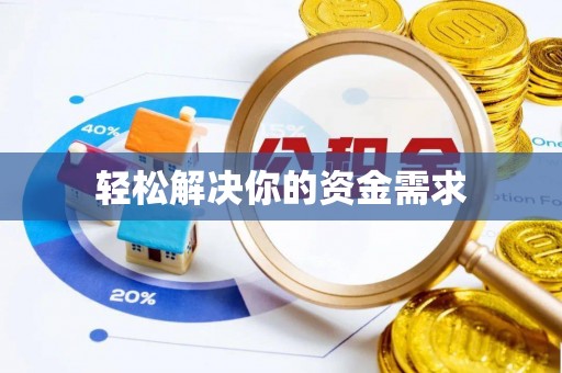 大悟轻松解决你的资金需求