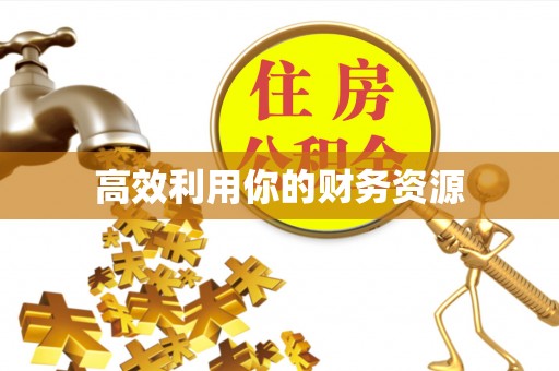 大悟高效利用你的财务资源
